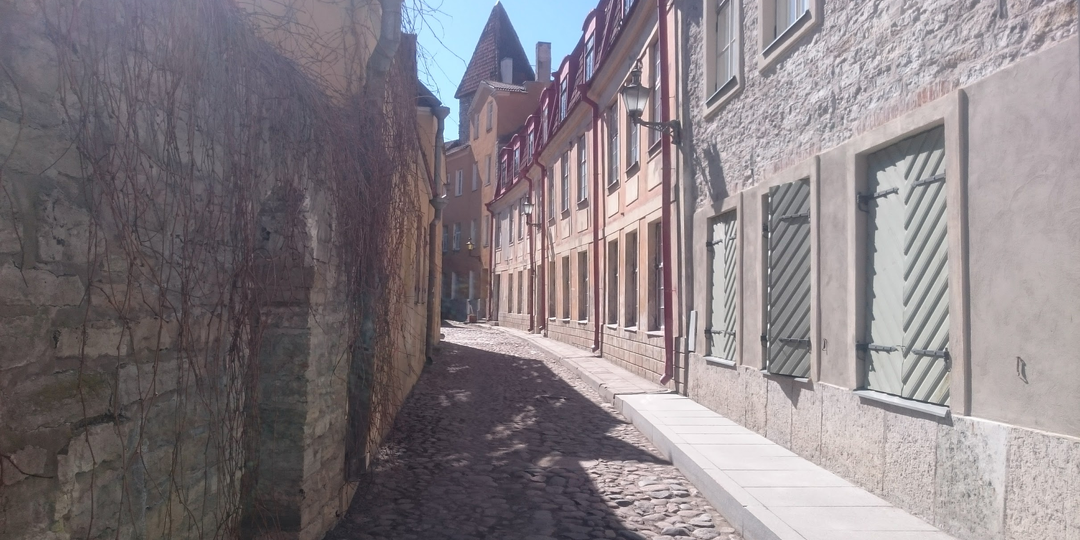 Псковские корни, таллинские доказательства