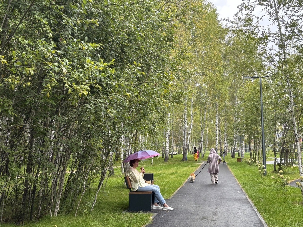 Насколько легко отличить настоящее видео от сгенерированного искусственным интеллектом: опрос россиян.  Фото: ФедералПресс / Ирина Ромашкина