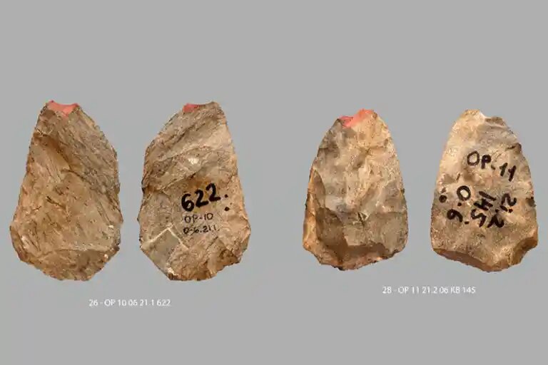    Источник: plos.one