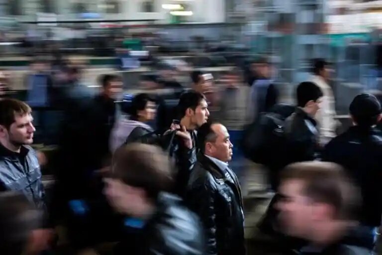    Источник: МОМ