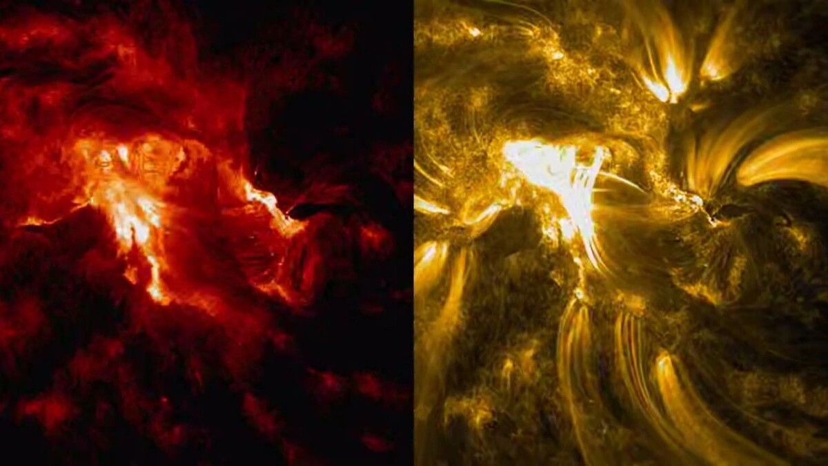    Фото: t.me/lpixras