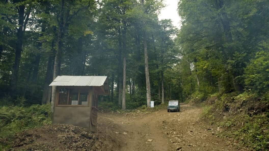    George Zakharchuk/Globallookpress