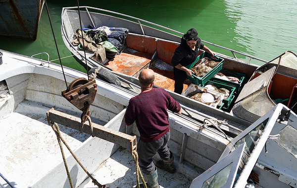 Андрей Рубцов/ТАСС