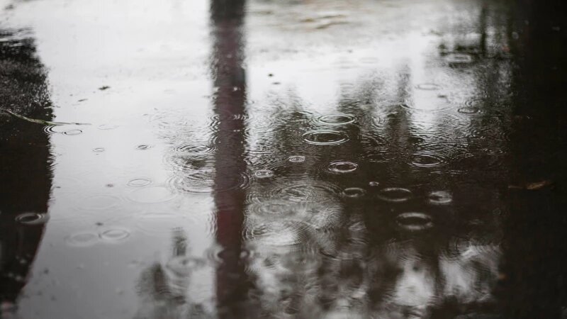     Дождь в Барнауле. Дарья Беркетова