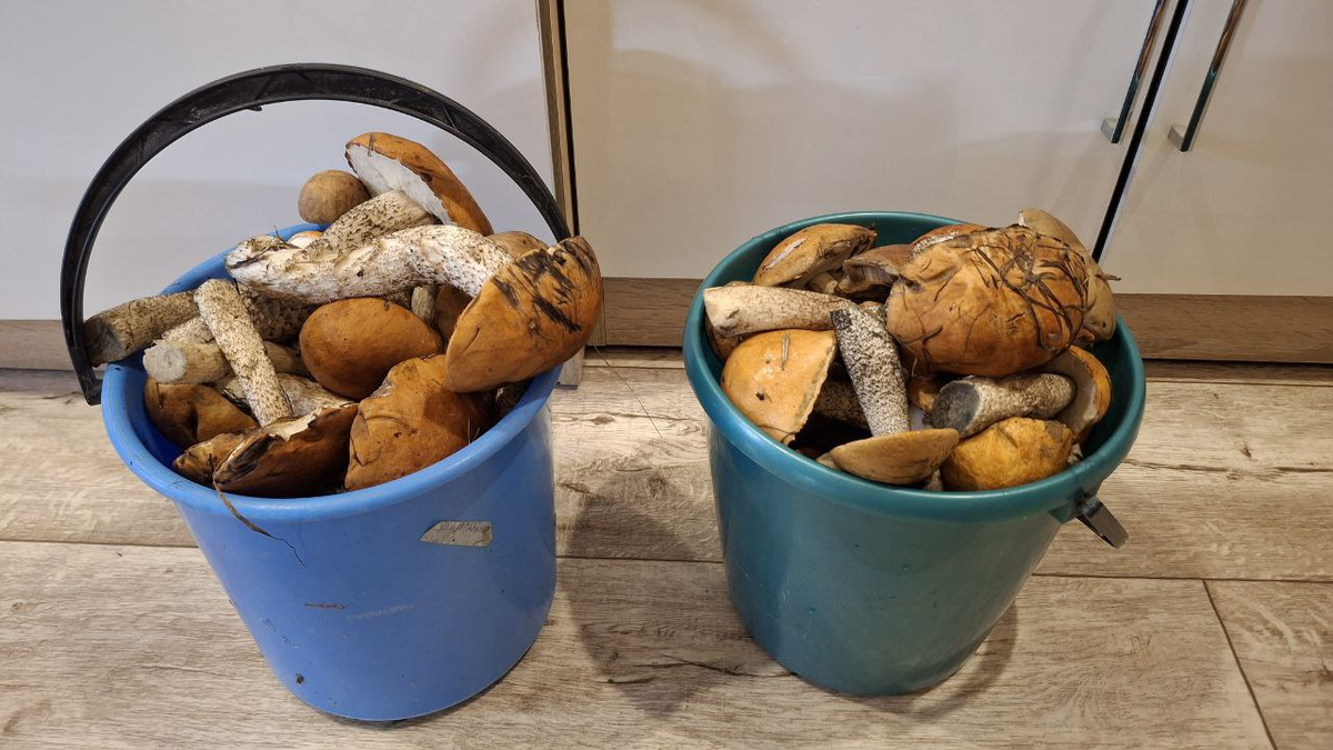 Результат моей прогулки с мамой