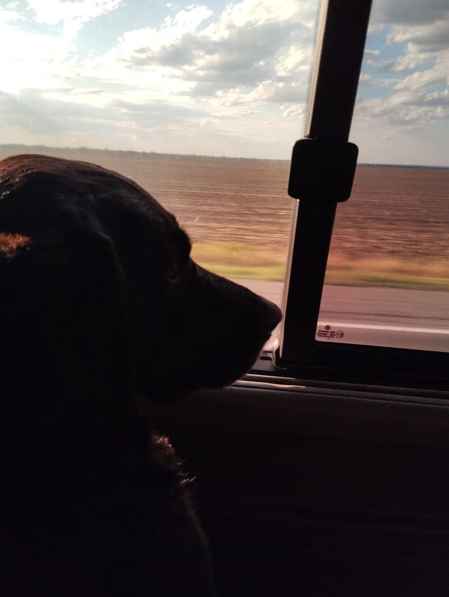 Еду через мост, думаю- как же так, лето уже все???