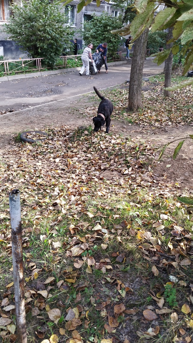 Ой, неужели уже дома? Уральские смски от друзей читаю!