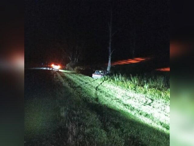    Фото: телеграм-канал "Госавтоинспекция Новосибирской области"