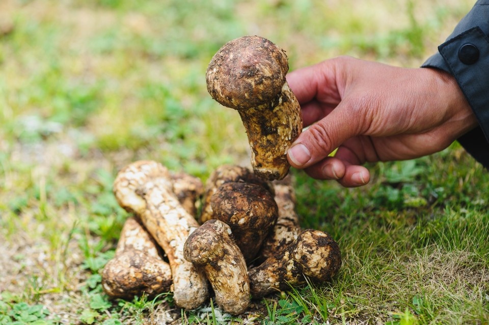    Фото: lzf/Shutterstock/Fotodom