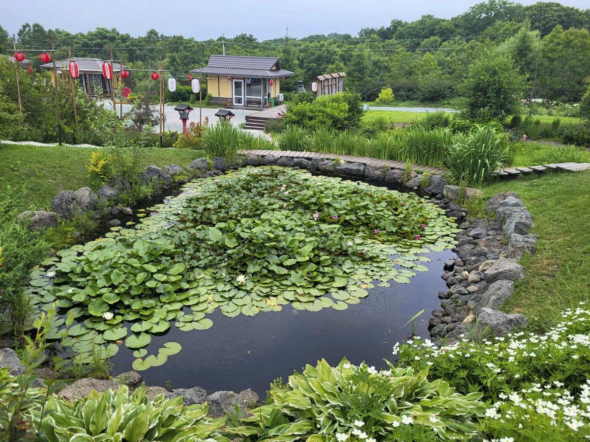 Потепление ожидается в начале сентября.  Фото: Фото: ФедералПресс / Анна Миронова