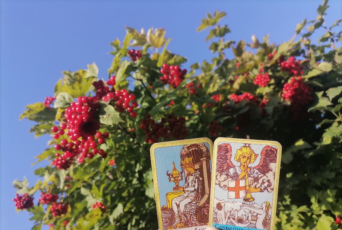 Калина во дворе прекрасна, решила поделиться этой красотой💖