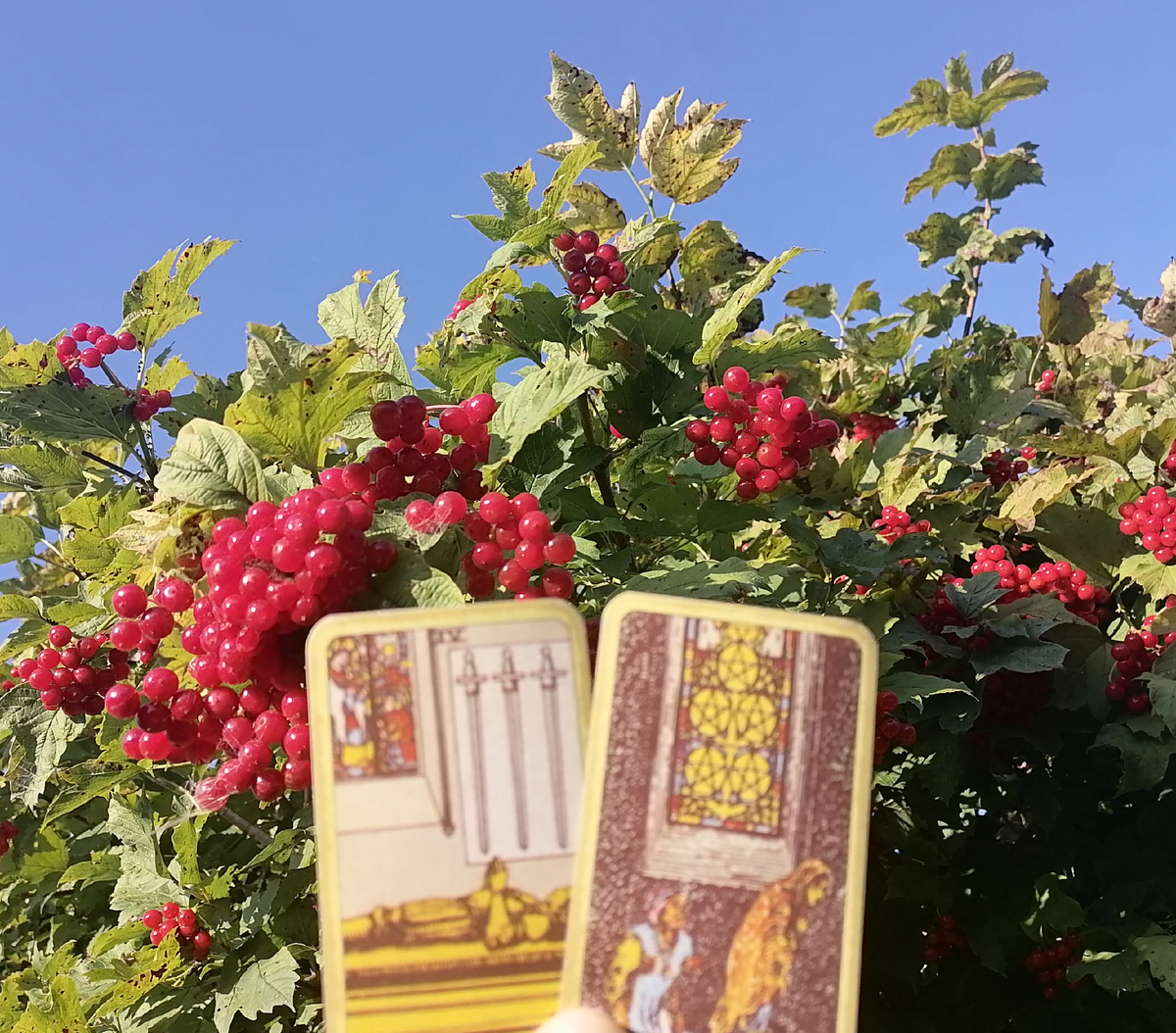 Природа вдохновляет... 