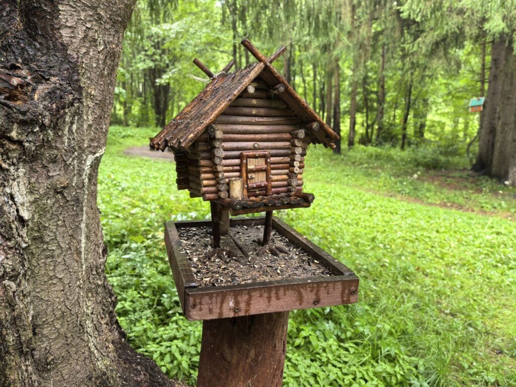    Фото: Али Алиев Редакция «В курсе.ру»