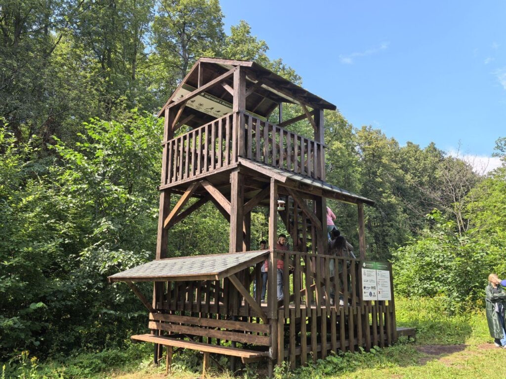    Фото: Али Алиев Редакция «В курсе.ру»