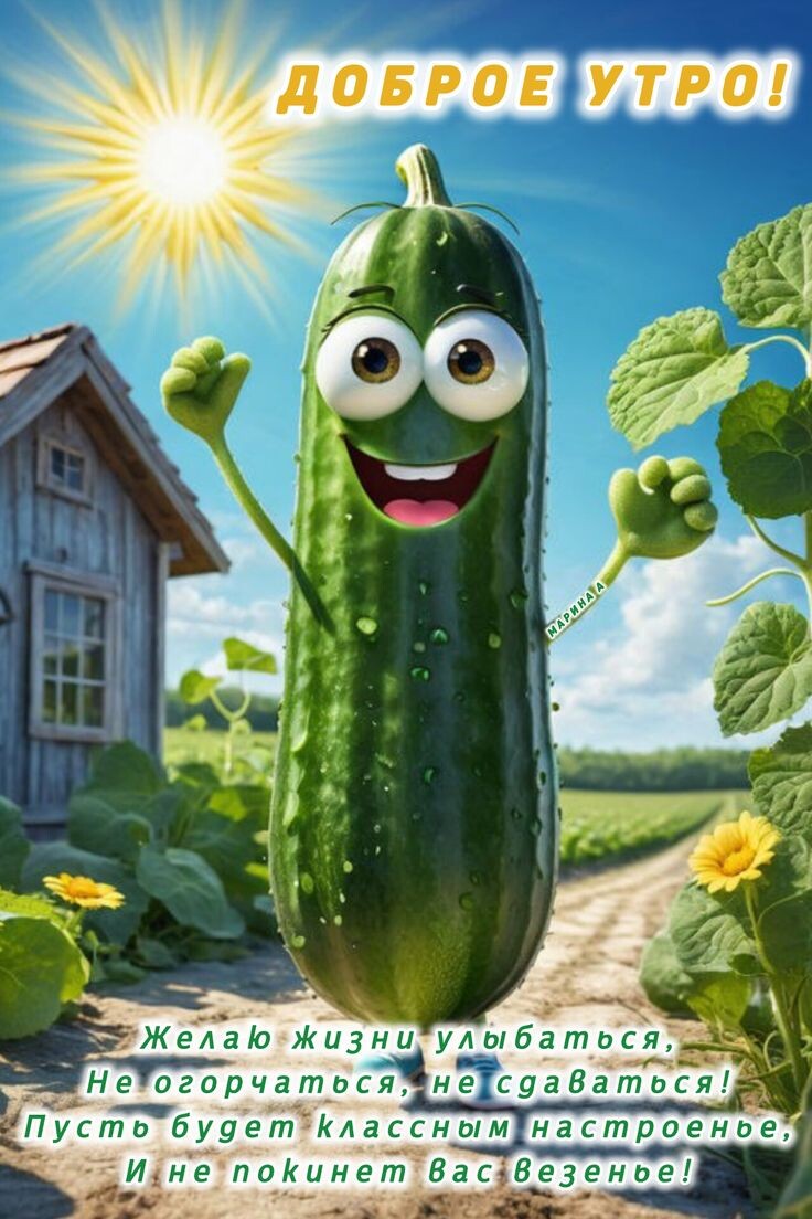 Фото интернета