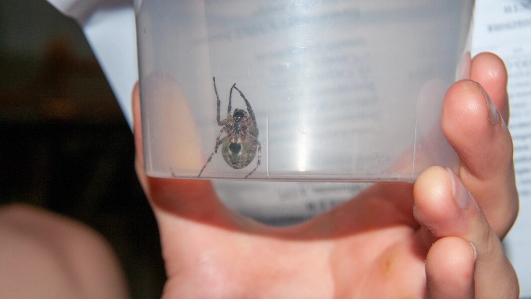    Svetlana Vozmilova/Global Look Press