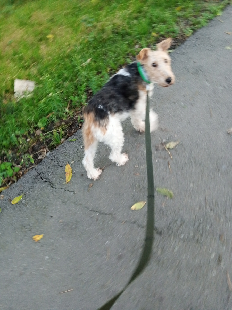 Фото размыто ,потому что съёмка в движении.(фото моё)