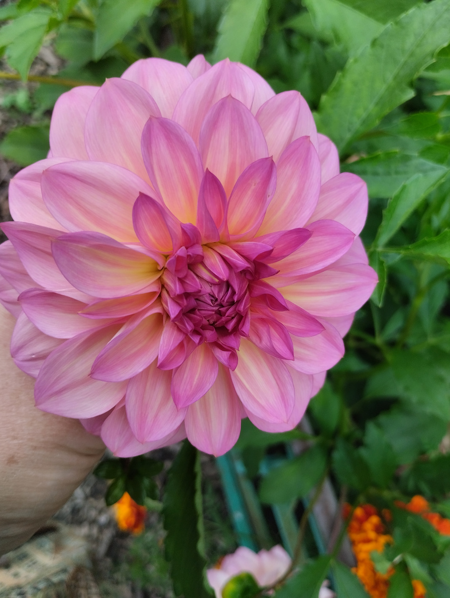 Фото здесь и далее автора.