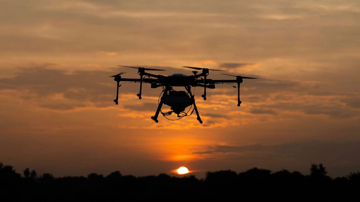    Фото: SuriPics168/Shutterstock/Fotodom