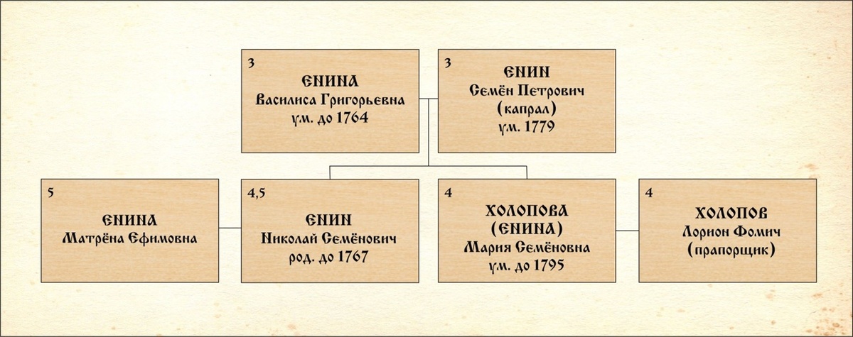Генеалогическое древо Семёна Енина