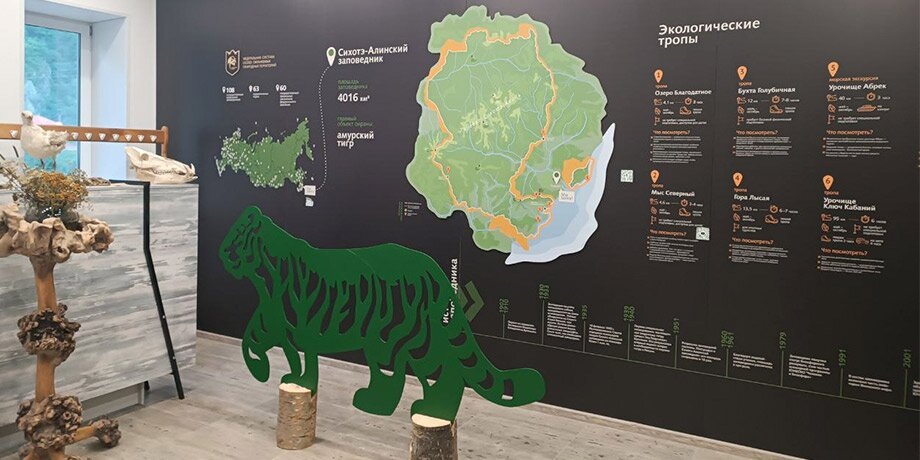    Фото: телеграм-канал "Сихотэ-Алинский заповедник"