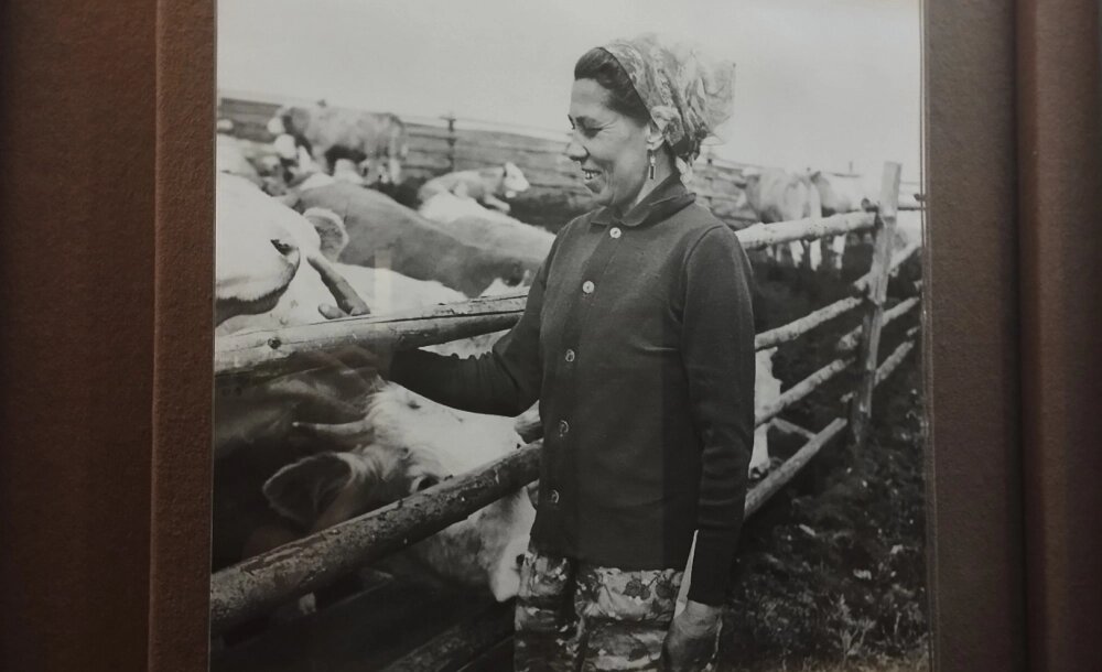    Воронежские доярки славились на всю страну. Фото: АиФ/ Анастасия Ходыкина