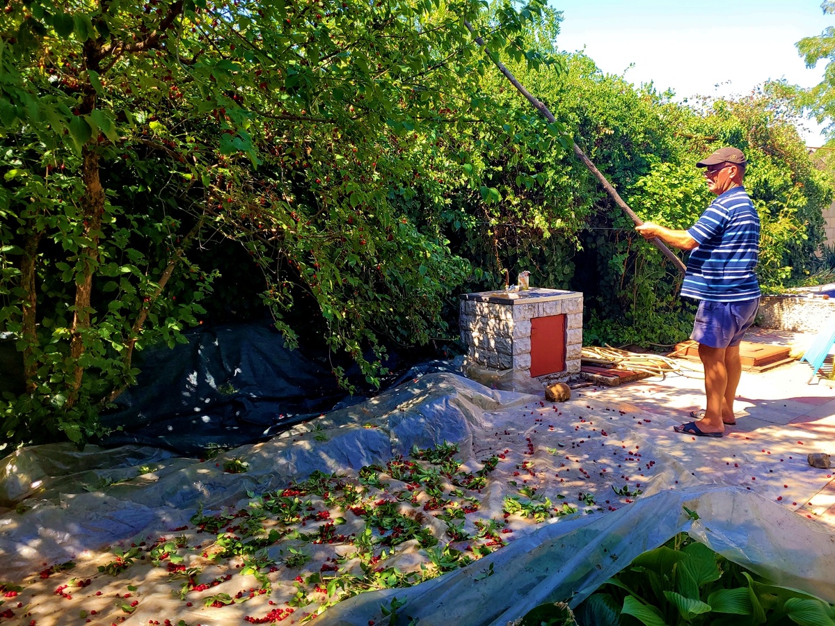 Процесс сборки кизила