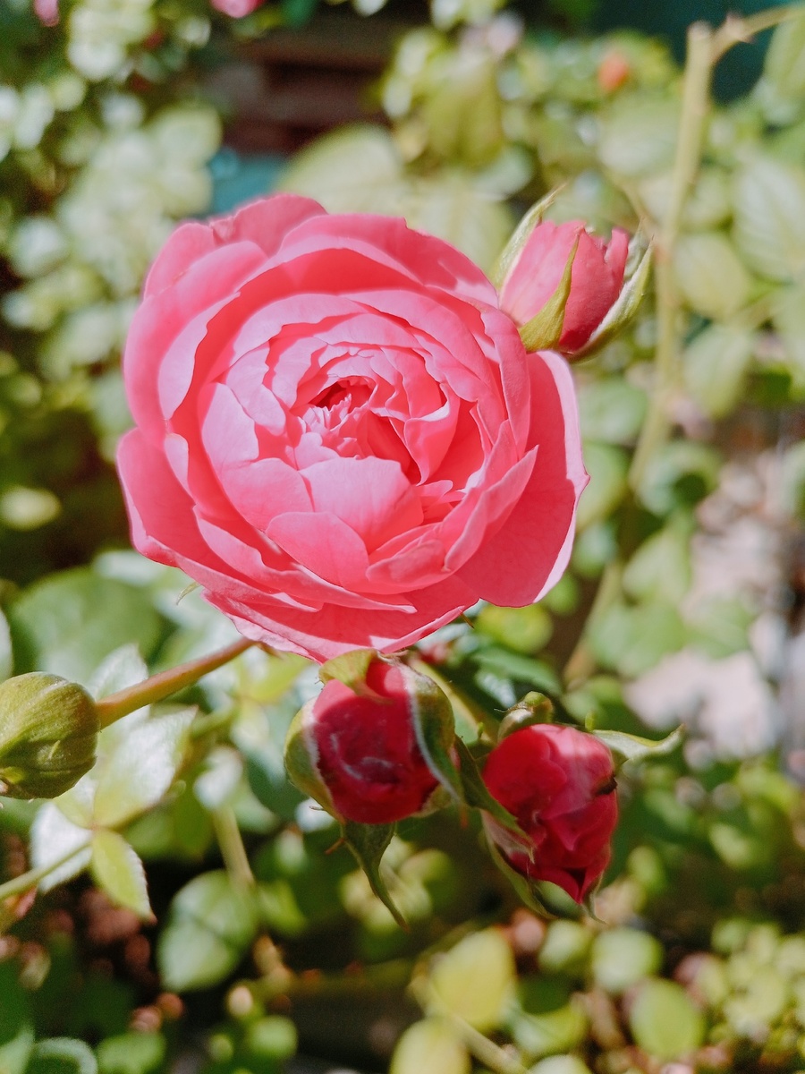    архив samaraonline24