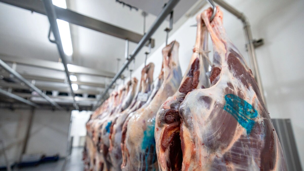    Фото: Сергей Зубков / «Ямал-Медиа»