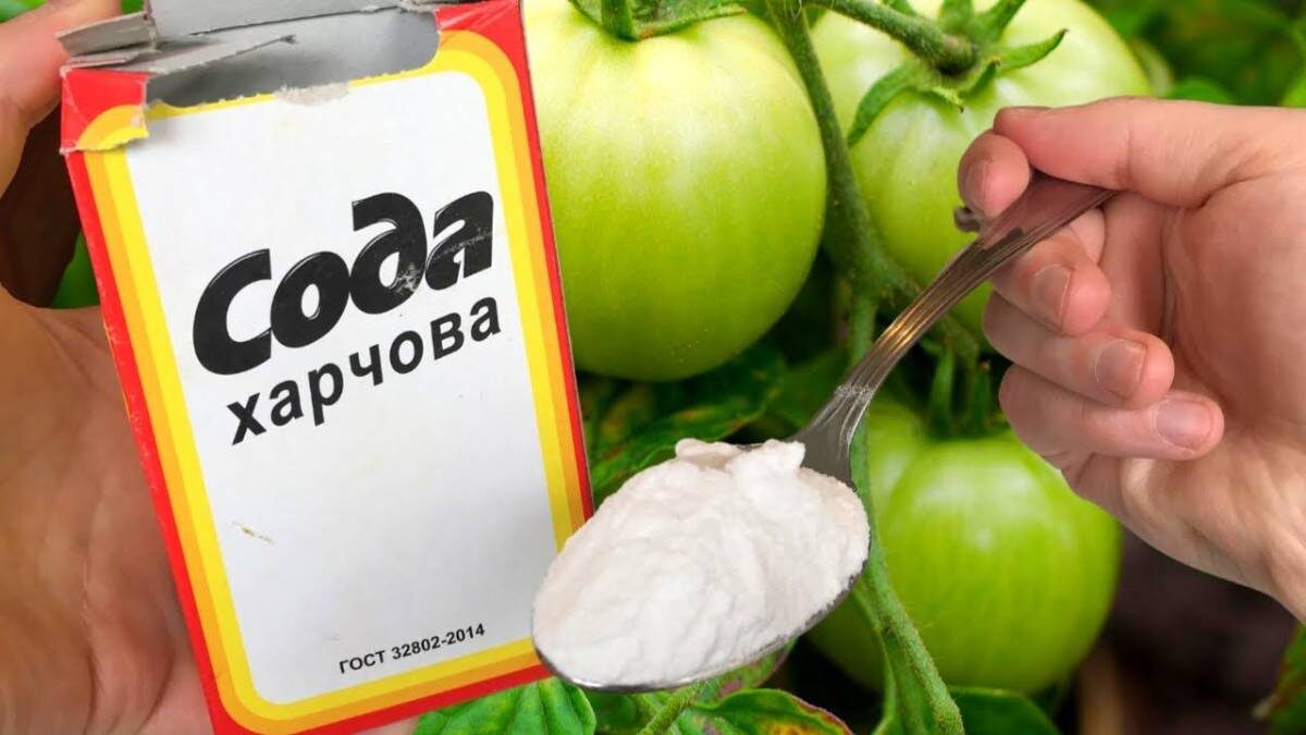 Идея из интернета
