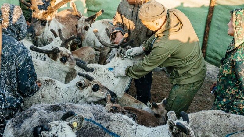   Фото: Юлия Чудинова/«Ямал-Медиа»