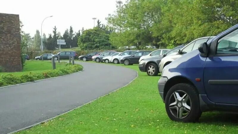 Фото заимствовано - https://yandex.ru/video/touch/preview/4870329911218451339