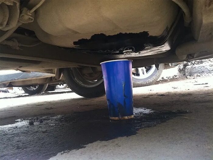 Фото заимствовано - https://novate.ru/blogs/280721/59935/