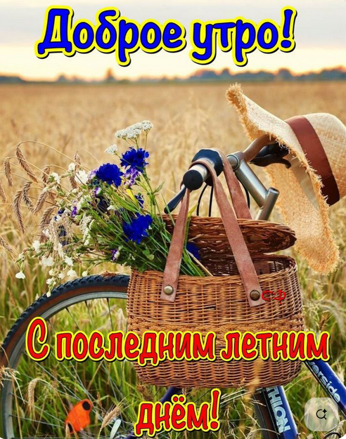 https://ru.pinterest.com/pin/4151824647420371/