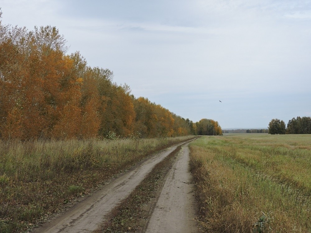    Прохладный сентябрь прогнозируют синоптики в этом году. Фото Анны Зубаревой