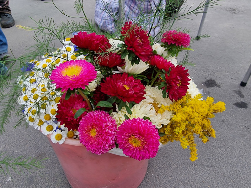    Почем продают цветы на 1 сентября в ПетрозаводскеИрина Яковлева