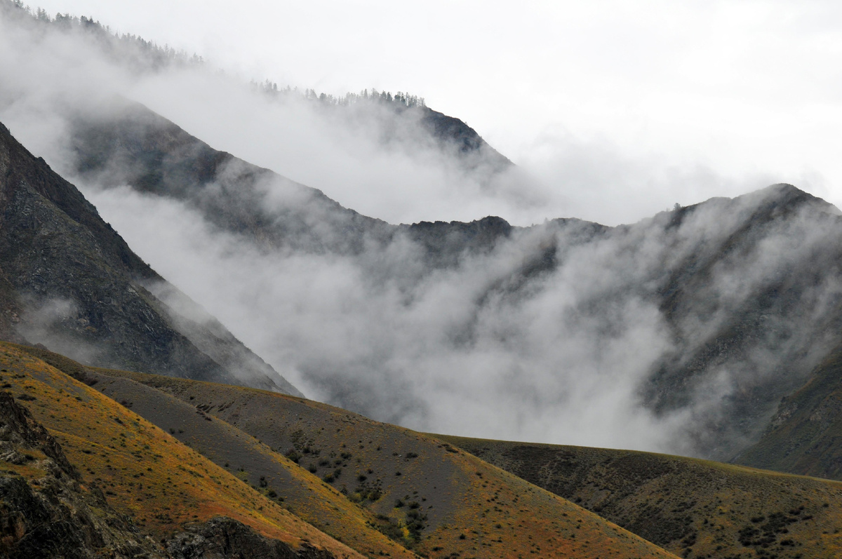 Фото Ольга Шадрина