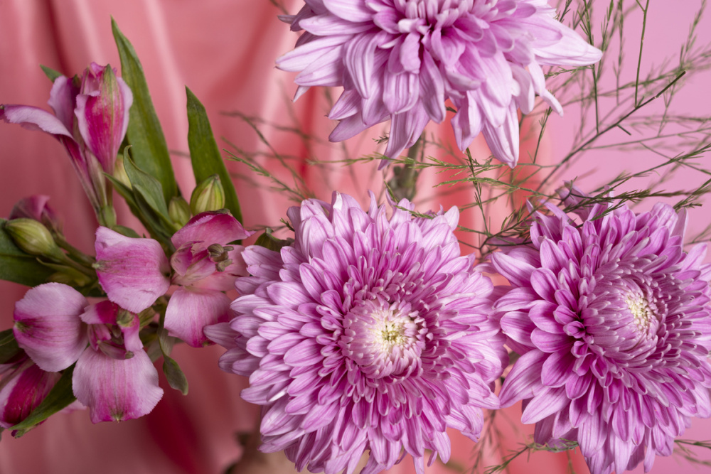     Фото: freepik.com