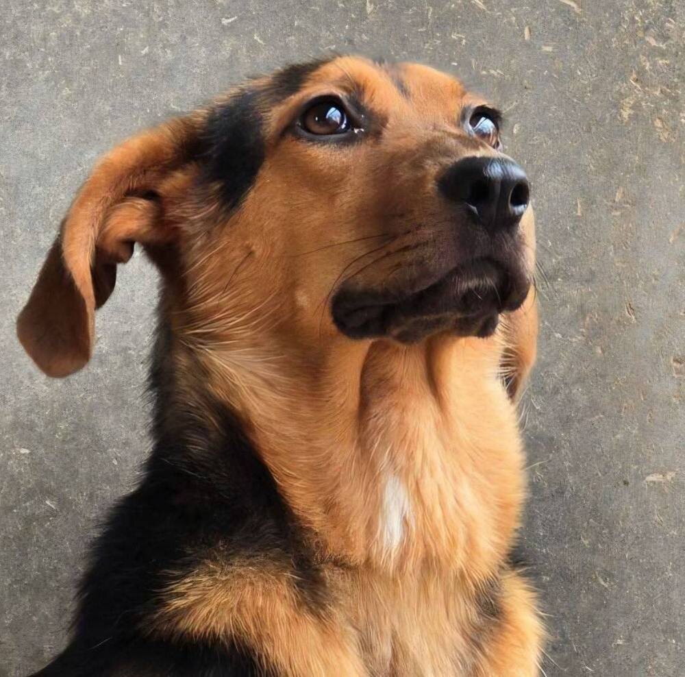   📷
