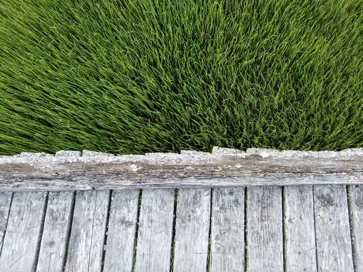 Фото: канал Мир глазами курьера