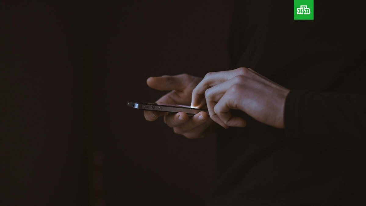    Фото: Gilles Lambert / unsplash.com