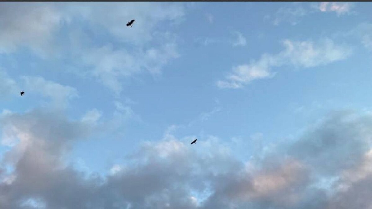    Фото: Телеканал «Краснодар»