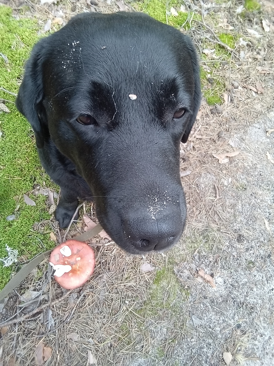 Фото автора. 