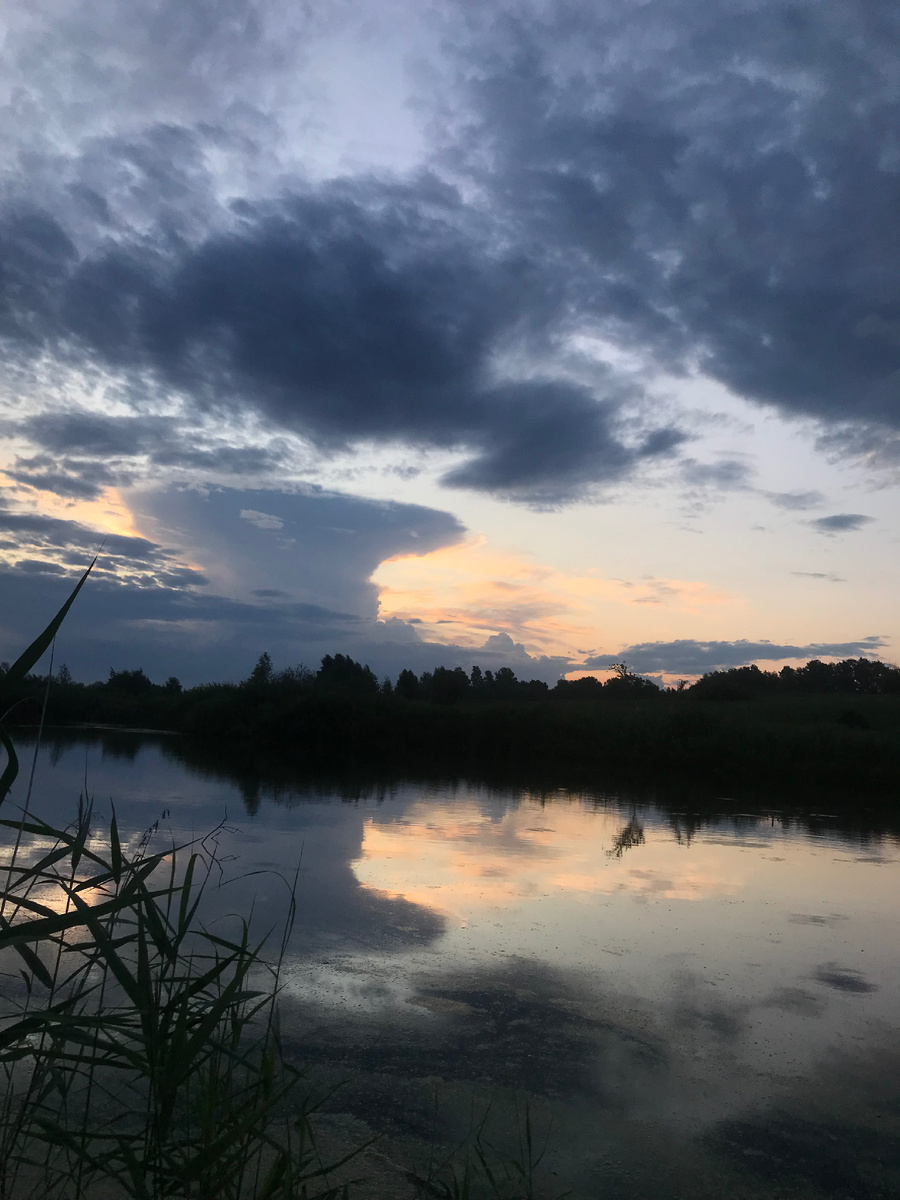 Приехал в 4:50