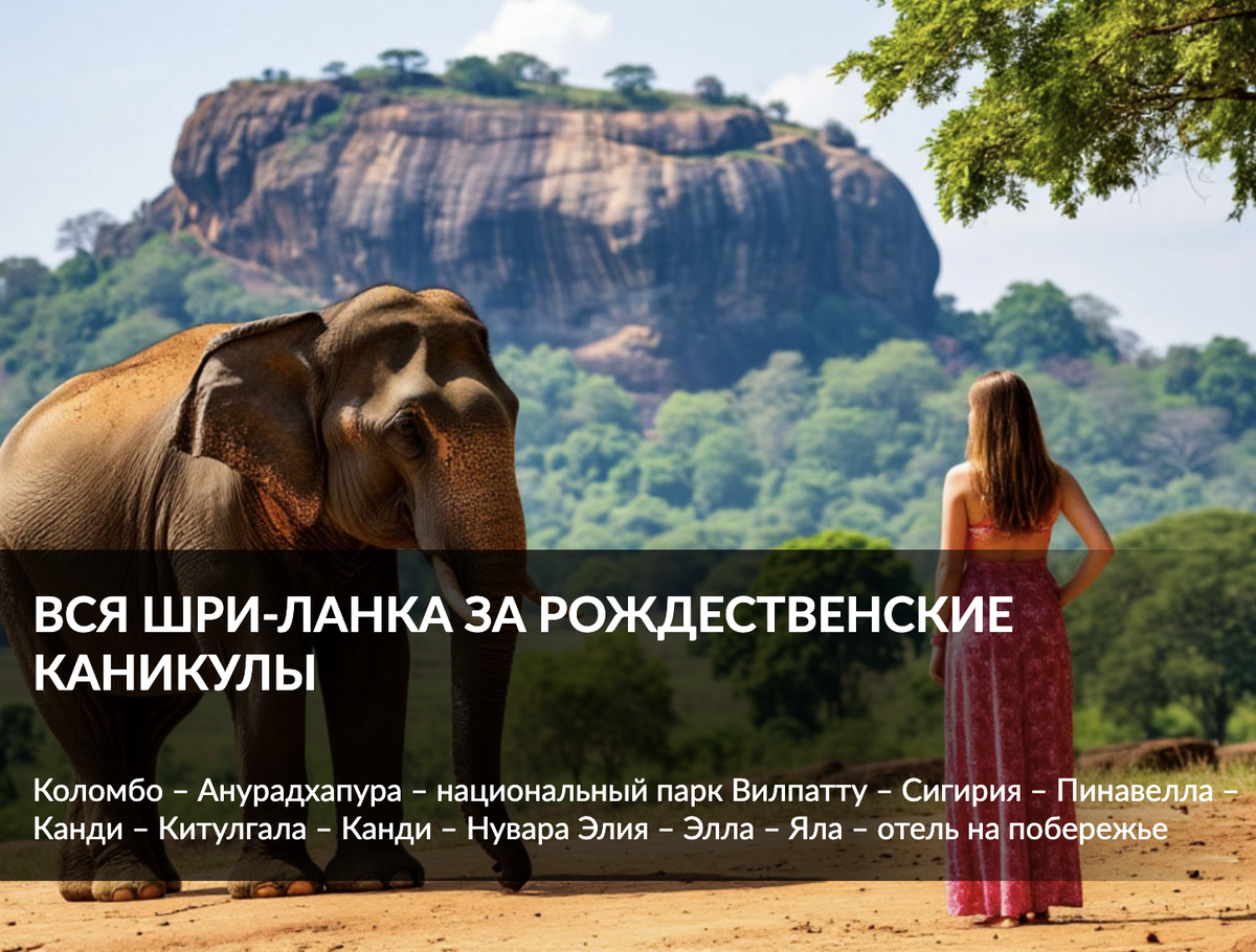Тур на Шри-Ланку в январе 2026 года на Новогодние и рождественские каникулы 