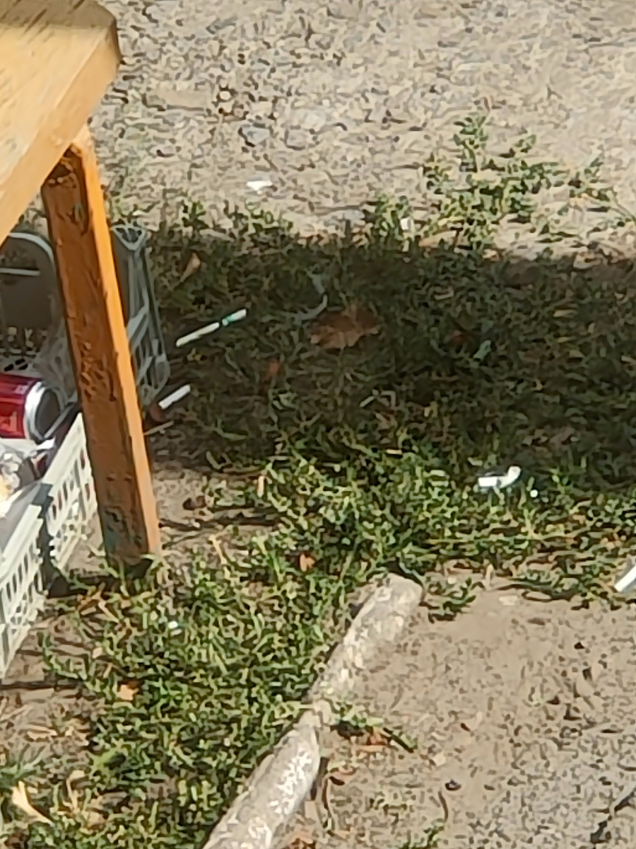 Мусор около корзины