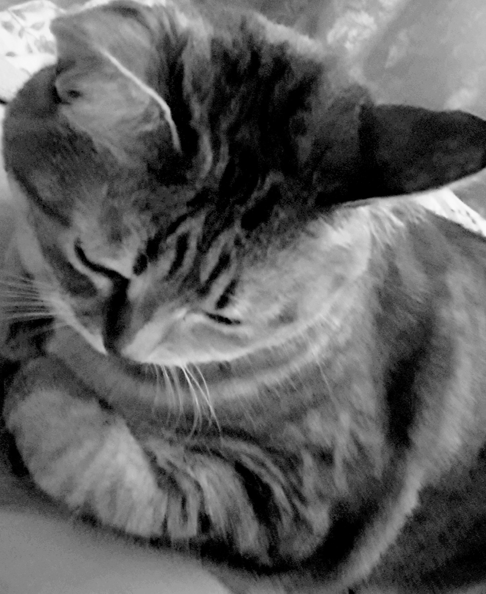 Фото автора 31.08.2025г.