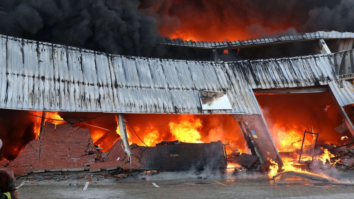    Фото: Four Oaks/Shutterstock/Fotodom