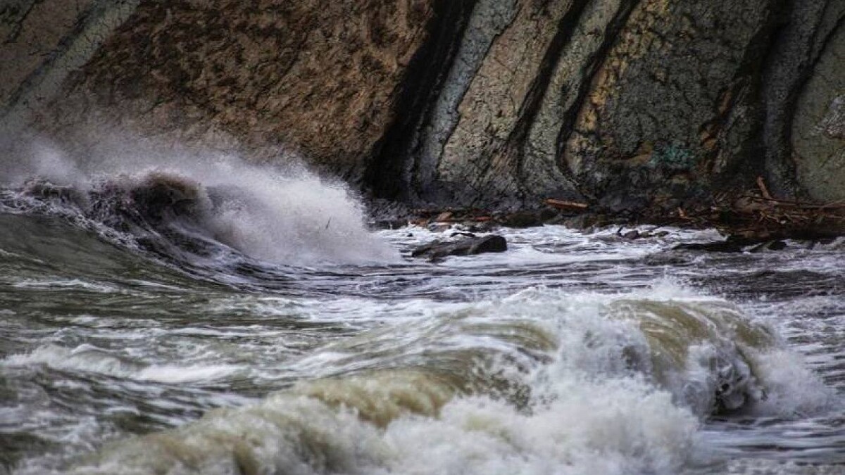    Фото: Телеканал «Краснодар»