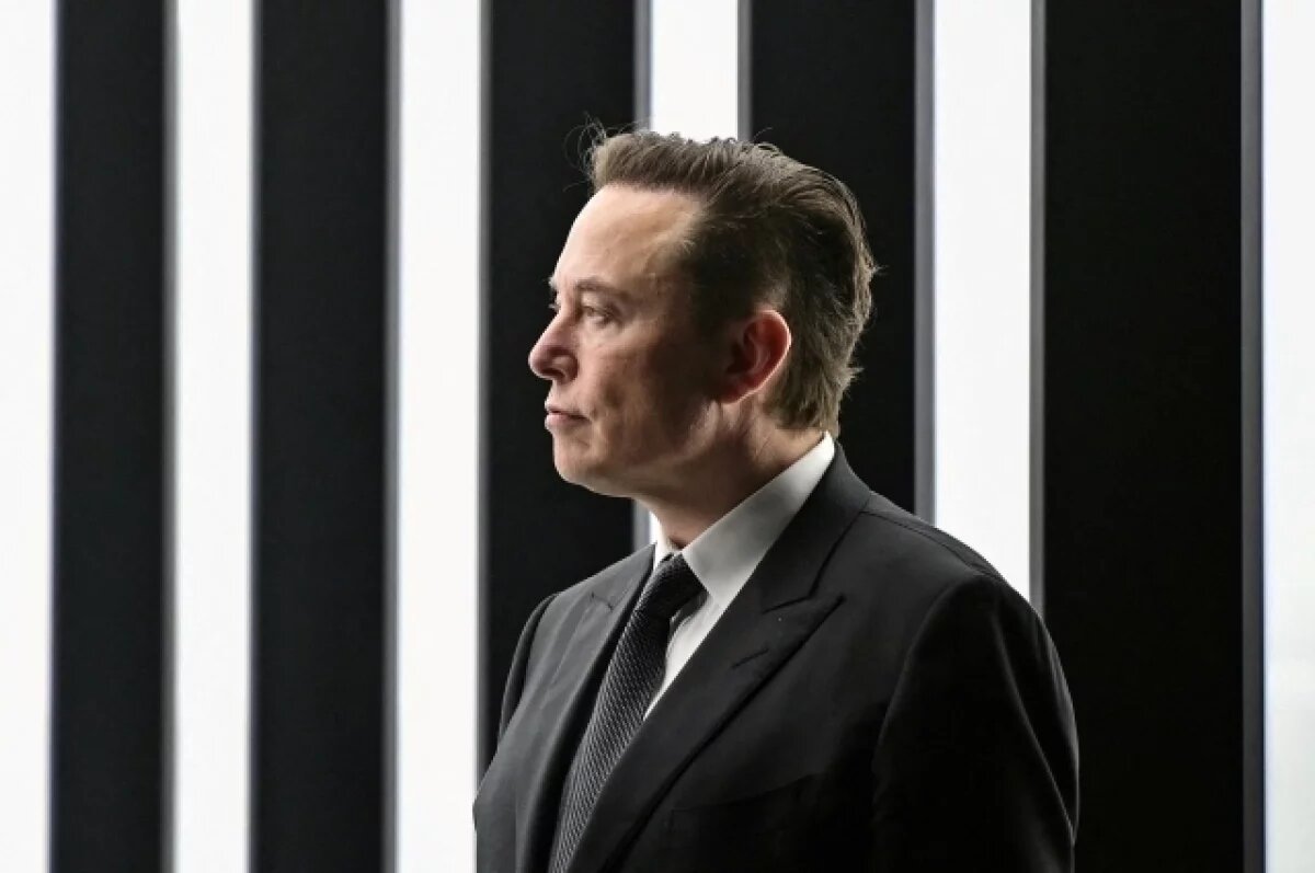    Маск заявил, что Европе грозит вымирание